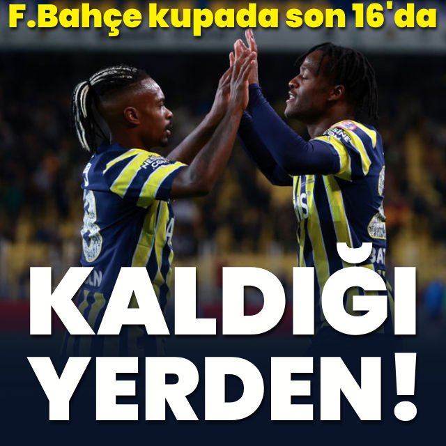 Fenerbahçe - İstanbulspor 3-1 MAÇ SONUCU