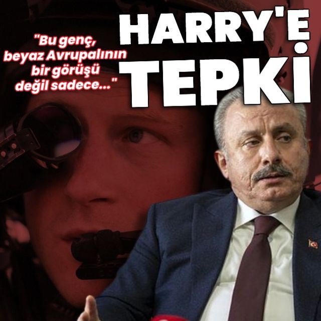 TBMM Başkanı Şentop tan Prens Harry ye tepki