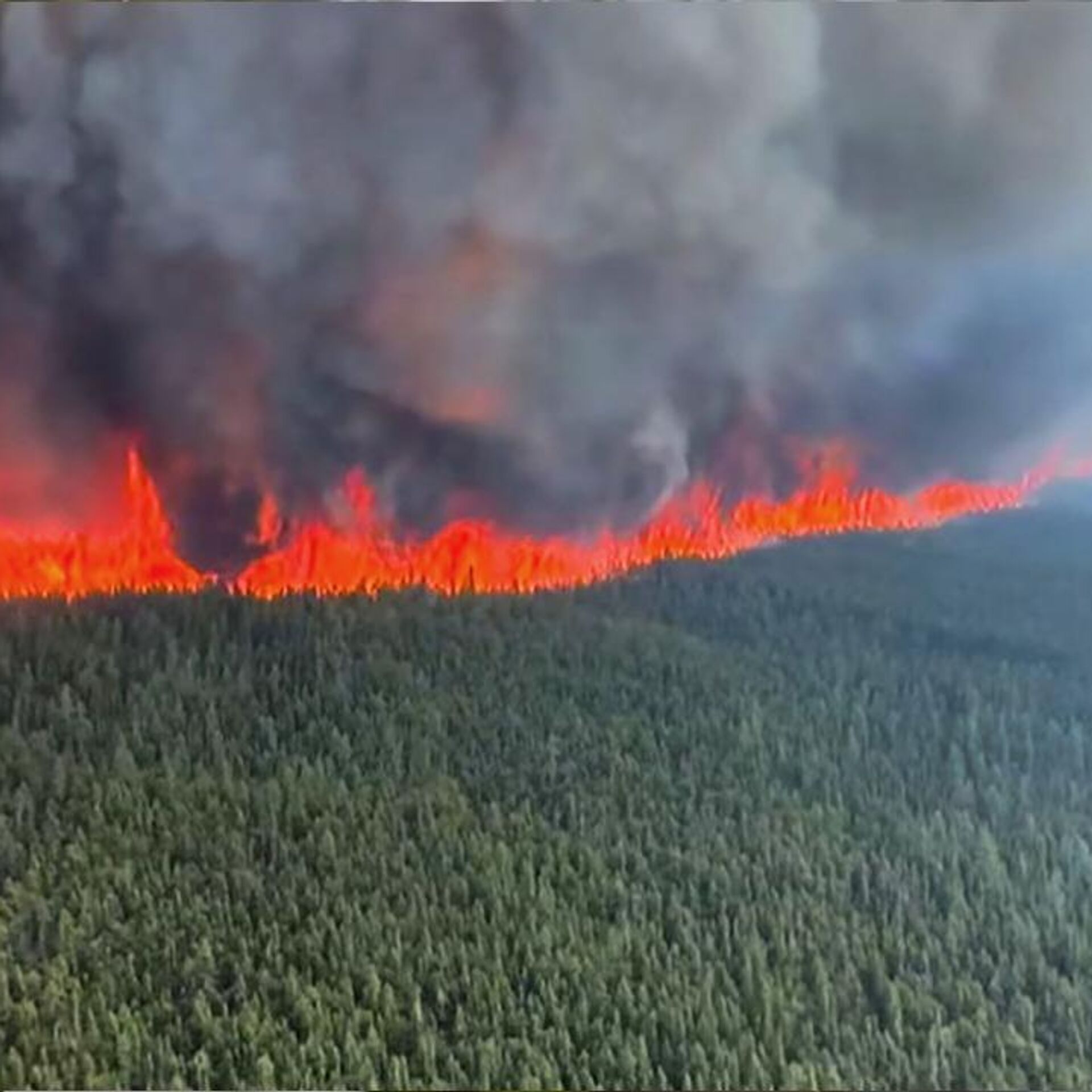 Kanada tarihinin en kötü yangın sezonu 13 4 milyon hektarlık alan kül oldu