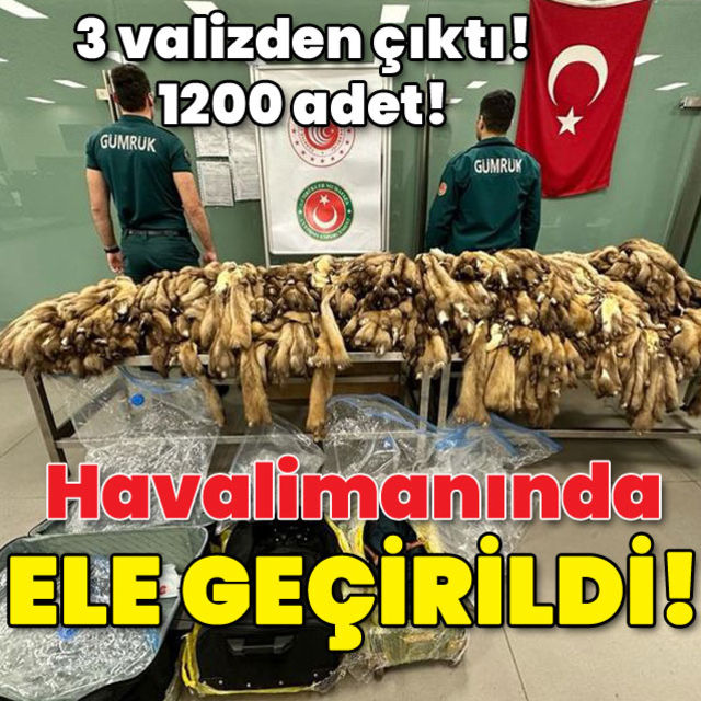 1200 adet Havalimanında ele geçirildi