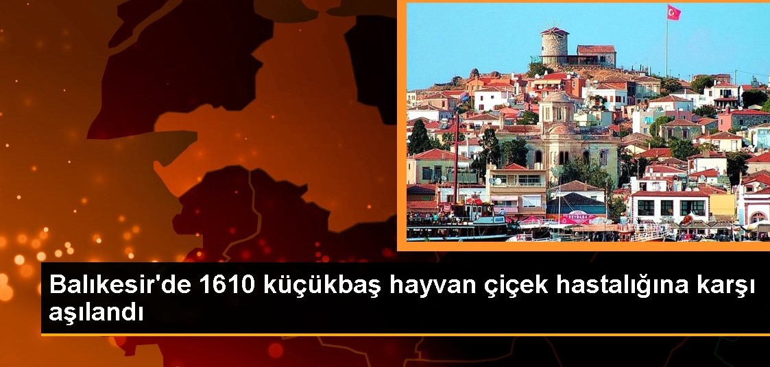 Balıkesir de 1610 küçükbaş hayvan çiçek hastalığına karşı aşılandı