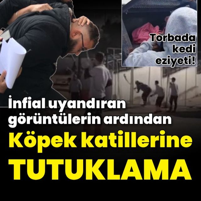 Konyada barınaktaki köpeğin öldürülmesiyle ilgili olarak 2 şüpheli tutuklandı