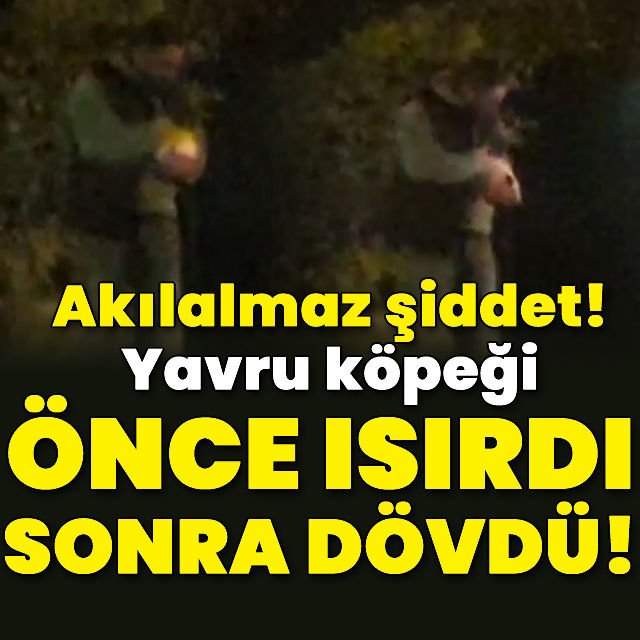 Kucağındaki yavru köpeği ısırıp, döverken görüntülendi