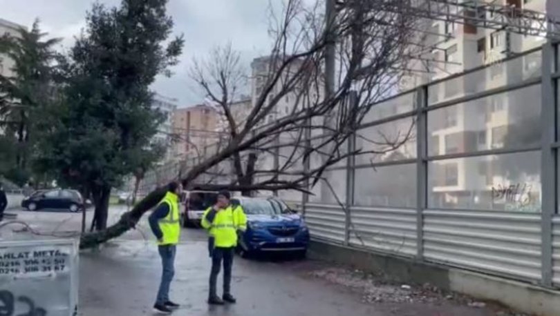 FSM de römork yan yattı Kadıköy de ağaç devrildi! İstanbul da etkili fırtına