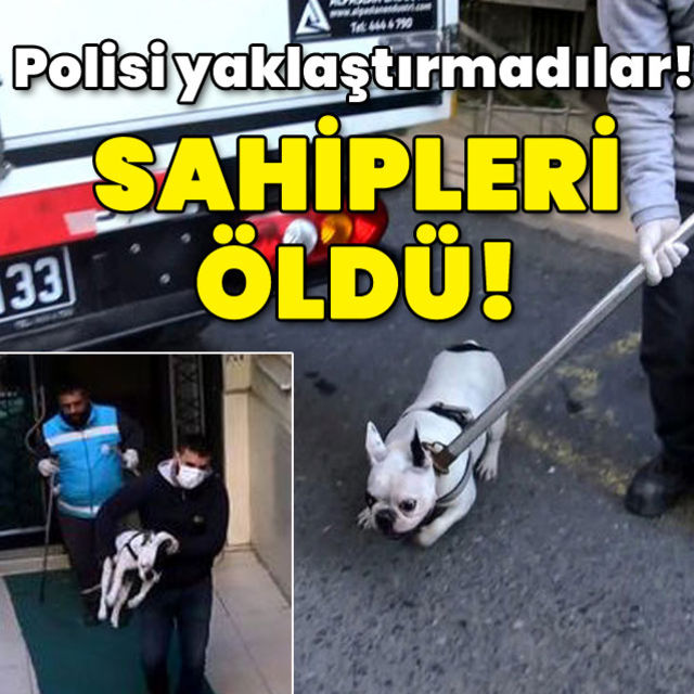 Sahipleri öldü Polisi yaklaştırmadılar